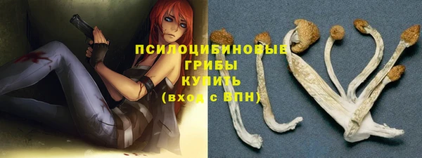 apvp Армянск