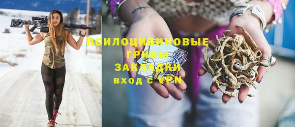 эйфоретик Аркадак