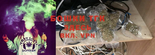 эйфоретик Аркадак