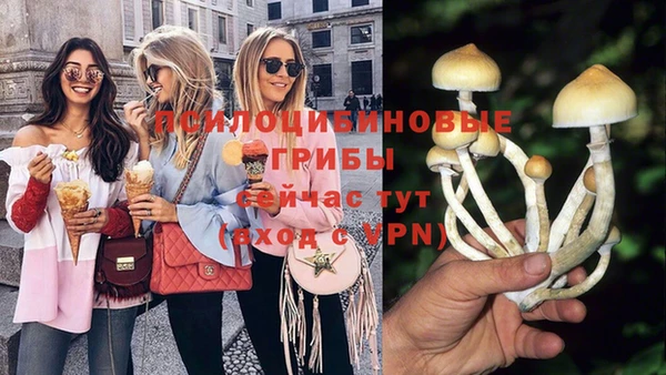apvp Армянск