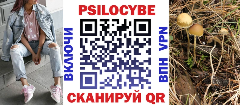 Псилоцибиновые грибы Psilocybe  Пустошка 